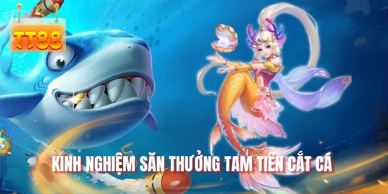 Kinh nghiệm săn thưởng Tam tiên cắt cá
